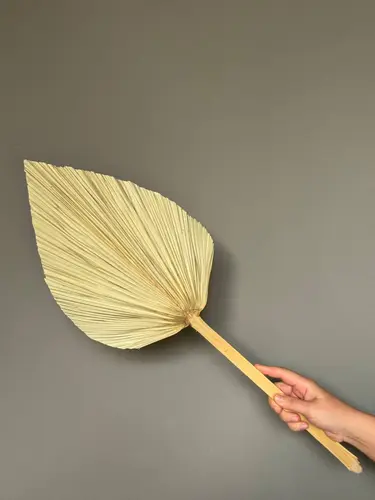 Medium Dried Palm Leaf