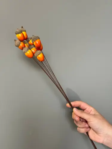 Dried Flower with Bright Acorn Twigs (1 twig)