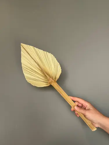 Small Dried Palm Leaf