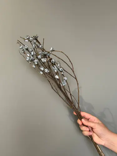 Dried Eucalyptus Fruit Branches (5-6 branches) X-FS1 (Zombiefruit)
