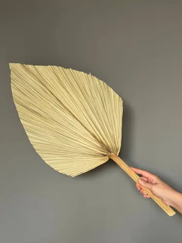 Large Dried Palm Leaf