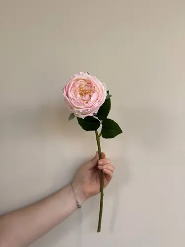 Пышная роза (Rosa × hybrida) в стиле садовой real touch, в 5 цветах, Модель X-FL6