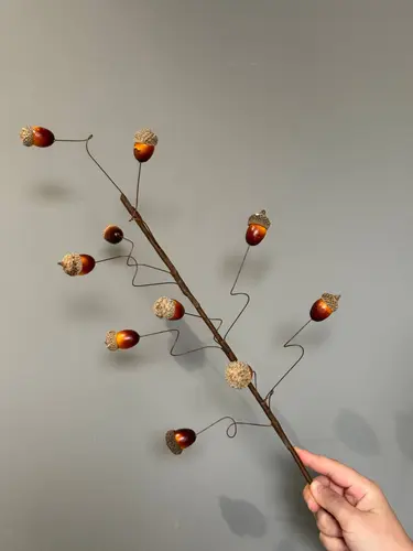 Lucky Fruit Dried Acorn Branch