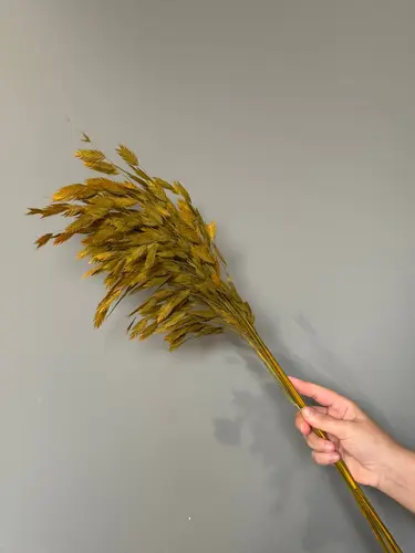 Natural Chasmanthium Bouquet, 65 cm