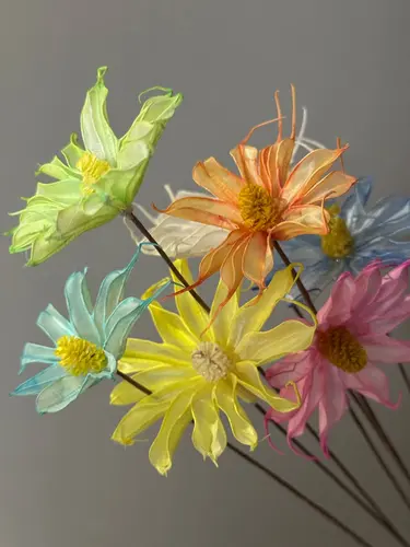 Multicolor Dried Oncidium Flower