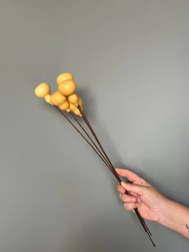 Dried Flower with Mini Pumpkins (5-stem bouquet) X-FS14
