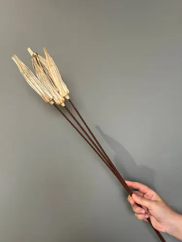 Dried Okra Stem, 70 cm